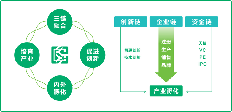 Z6·尊龙凯时式孵化